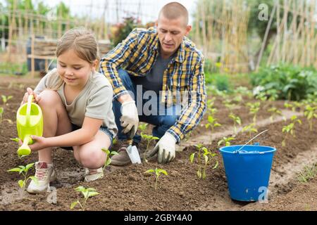 Teenager girl with her father watering plants at farm Stock Photo