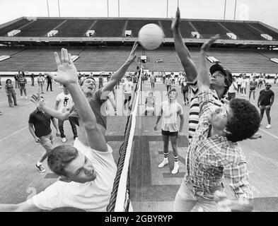 College Station Texas, 1978: 400 Texas A&M University students play in a marathon recreational volleyball game inside the school's football stadium in an attempt to set a Guinness Book of World Records mark for world's largest volleyball game. ©Bob Daemmrich Stock Photo