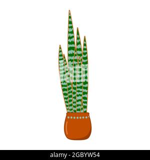 Sansevieria, trifasciata plant in pot. Hand drawn indoor and outdoor landscape garden potted plant. Urban jungle, trendy home decor with plant, tropic Stock Vector
