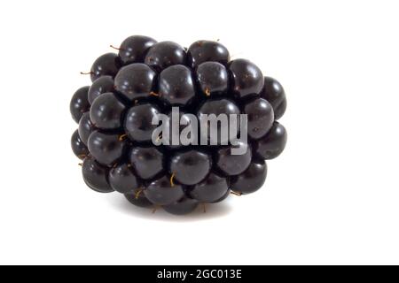 Blackberry isolated on white background Stock Photo