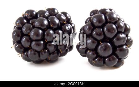 Fresh ripe blackberries isolated on white background. Berries up close. Stock Photo