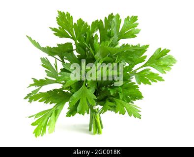 Fresh herbs, parsley isolated on white background. Stock Photo