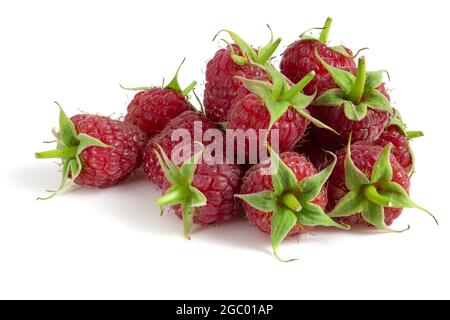 Red raspberry isolated on a white background Stock Photo
