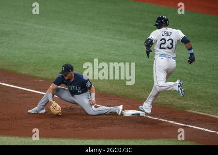 St. Petersburg, FL. USA; Tampa Bay Rays designated hitter Nelson