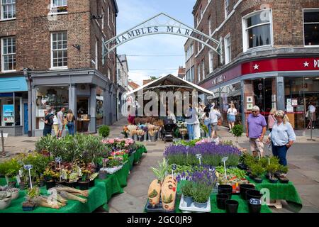 Shambles Market in York, UK Stock Photo