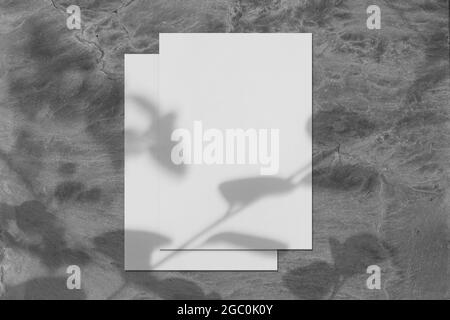 Two empty white rectangle poster mockups with tree shadow Stock Photo