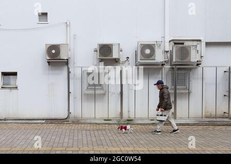 An older Japanese man (wearing a surgical mask) walks his small dog past a wall with air-conditioning units on it in Yamato, Kanagawa, Japan. Stock Photo