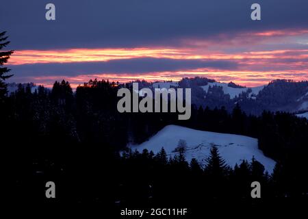 Scenic sunset sky over snowy mountains, dark wood on the top of the winter mountain, pine trees silhouette. Swiss Alps Stock Photo