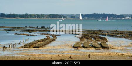 FRANCE. ISLAND OF MOINES OYSTER BREEDING Stock Photo