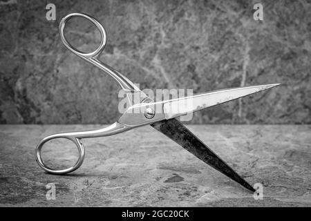 Metal scissors expressed in black and white Stock Photo