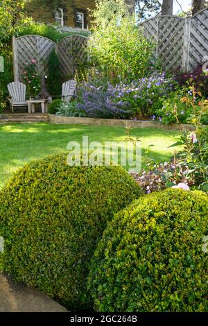 Landscaped sunny private garden (contemporary design, summer border plants, topiary box balls, patio furniture, lawn, fence) - Yorkshire, England UK. Stock Photo