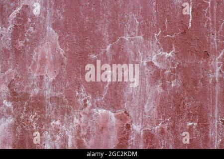 The texture of the plaque on the wall. The wall is covered with white mold. Divorces on plaster. Stock Photo