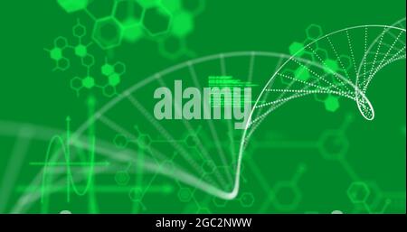 DNA structure forming against medical data processing on green background Stock Photo