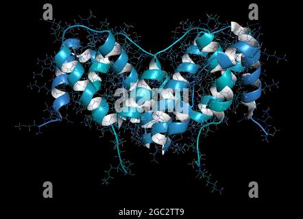 Interferon gamma (IFNg) cytokine molecule, 3D rendering. Recombi Stock Photo