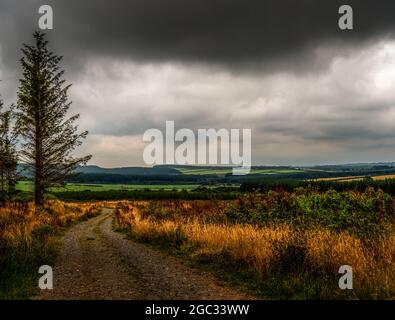 Stormy landscape with dark sky and winding road, lane. Stock Photo