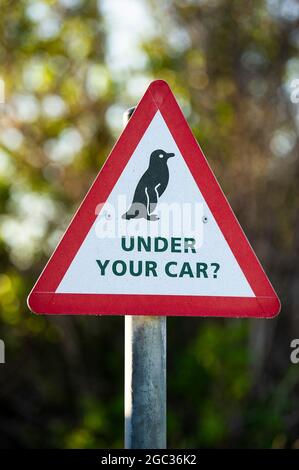 Sign board, Boulders Beach, Cape Peninsula, South Africa Stock Photo