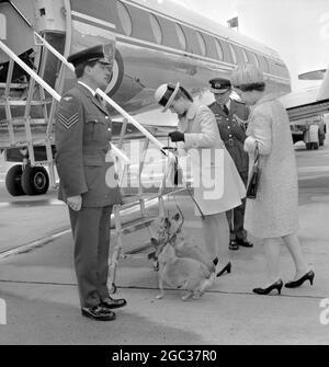Queen Elizabeth II and her daughter Princess Anne at Heathrow Airport with their pet corgi dogs 19th May 1969 Stock Photo
