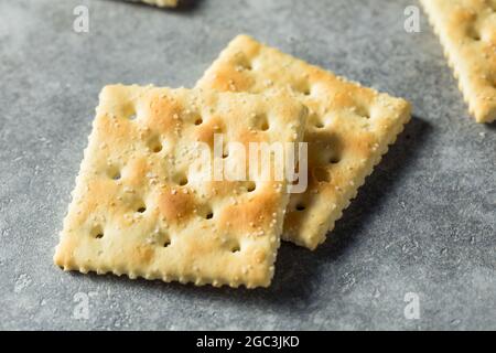 Healthy Homemade Saltine Soda Crackers Ready to Eat Stock Photo