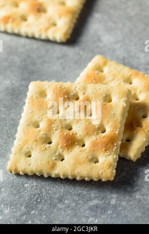 Healthy Homemade Saltine Soda Crackers Ready to Eat Stock Photo