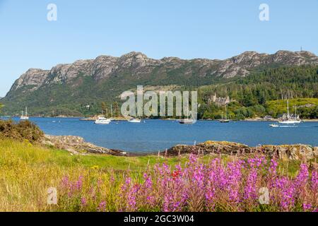 Looking over Loch Carron towards Duncraig Castle and the hills of creag an duilisg from the village of Plockton Stock Photo