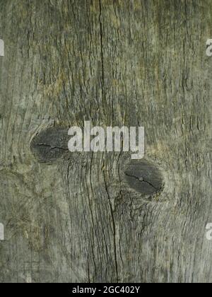 old weathered cracked wood surface with knots Stock Photo