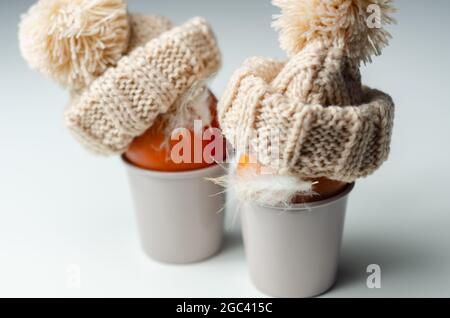 Fresh free range eggs with natural feathers in egg cups, eggs in woolen caps, funny food Stock Photo