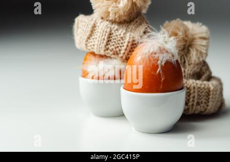 Fresh free range eggs with natural feathers in egg cups, eggs in woolen caps, funny food Stock Photo