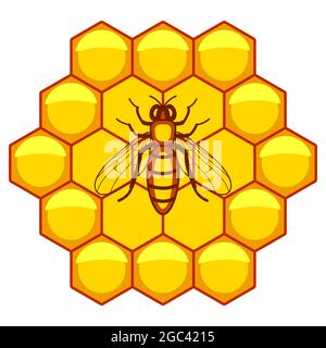 Illustration of the worker bee and honeycombs pattern Stock Vector