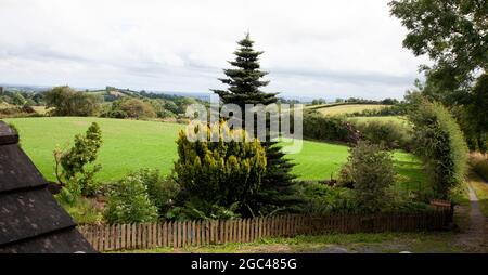 field newly sown with grass in Durmlin country, County Monaghan, Ireland Stock Photo