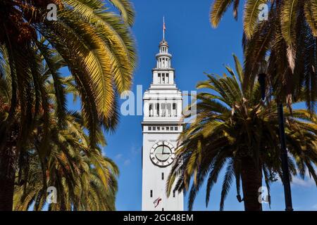 Palm trees and the Ferry Building in Embarcadero, San Francisco, CA Stock Photo