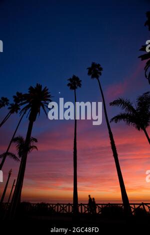 Sunset palm trees Santa Monica CA Stock Photo