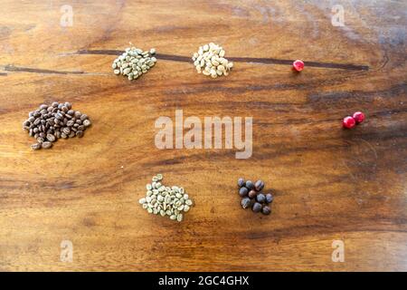 Production of arabica coffee. From the ripe berry (on the right) to the roasted beans (left). Two different ways displayed. Wet (down) and dry. Stock Photo
