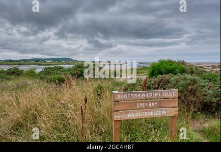 Spey Bay Wildlife Reserve at Spey Bay, Tugnet, Scotland Stock Photo