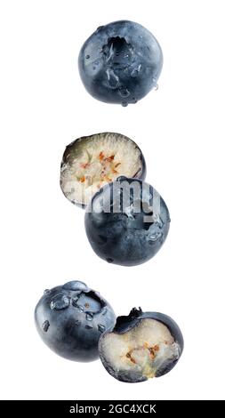 falling blueberries isolated on a white background. Stock Photo