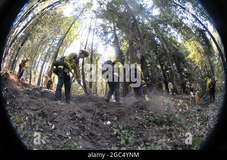 Bravo team from the California Army National Guard’s Task Force Rattlesnake out of Redding, California, create a defensive fire line Sept. 1, 2020, at Bonny Doon, Santa Cruz County, California, during the CZU Lightning Complex Fire in Santa Cruz and San Mateo counties, California. Cal Guard’s specially-trained Rattlesnake teams are assisting the California Department of Forestry and Fire Protection (CAL FIRE) contain the massive wildfire that scorched more than 85,000 acres since igniting Aug. 16. (U.S. Army National Guard photo by Staff Sgt. Eddie Siguenza) Stock Photo