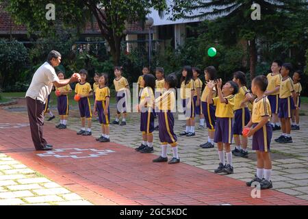 Elementary students in uniforms play in a school yard next to a cherry  blossom tree in middle of yard in spring morning on outskirts of Da Lat  Stock Photo - Alamy