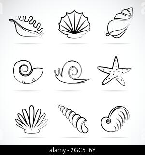 Vector collection of sea shells and snail. Easy editable layered vector illustration. Wild Animals. Stock Vector