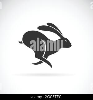 Vector of black rabbit is running on white background. Wild Animals. Black bunny. Easy editable layered vector illustration. Stock Vector