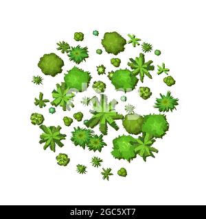 Small forest with height. Park with trees. View from above. Plant landscape. Island. Green wildlife. Top view. Background illustration in cartoon Stock Vector