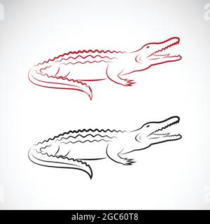 Amazoncom Azeeda Large Swimming Crocodile Temporary Tattoo TO00032814   Everything Else