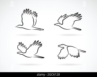 Vector group of crow flying on white background. Birds. Animals. Easy editable layered vectors illustration. Stock Vector