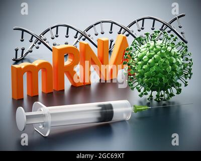 DNA model, syringe, virus model and mRNA text standing on gray surface. 3D illustration. Stock Photo