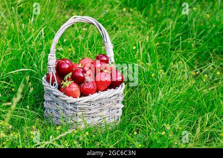 Strawberries and cherries in wicker basket. Healthy food Stock Photo