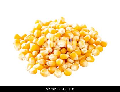 Organic yellow corn seed or maize on white background. Pile raw corn seed isolated. Stock Photo