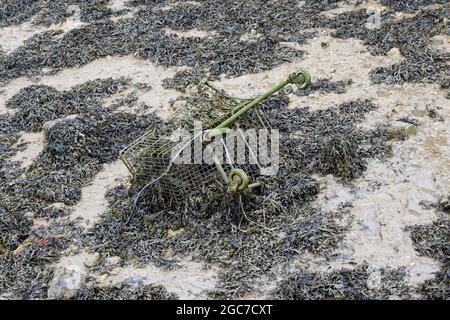 discarded shopping trolley amongst mud and seaweed in River Medway Rochester Kent UK Stock Photo