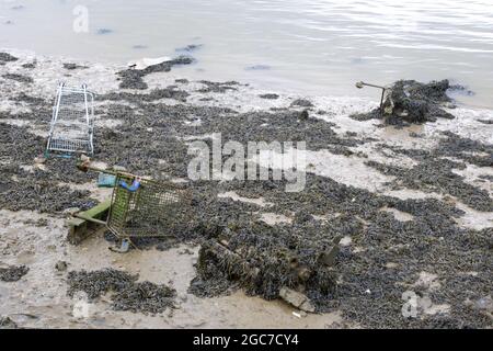 discarded shopping trollies amongst mud and seaweed in River Medway Rochester Kent UK Stock Photo