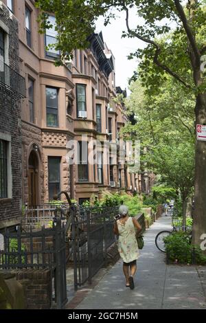 Residential street in the landmark Brownstone Brooklyn neighborhood of Park Slope. Stock Photo