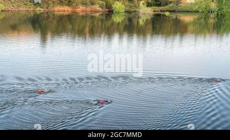 open water swimmers with swim buoys on a calm lake, summer morning workout on Horsetooth Reservoir in Colorado Stock Photo