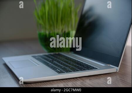 Technology background. Laptop background. Learn programming language, computer courses, training. Stock Photo