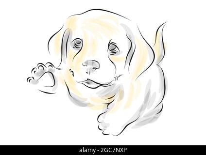 fastversion How to draw Golden Retriever puppy  Step by Step Tutorial  For Kids  YouTube